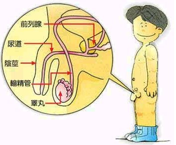 艾滋病易感染人群有哪些